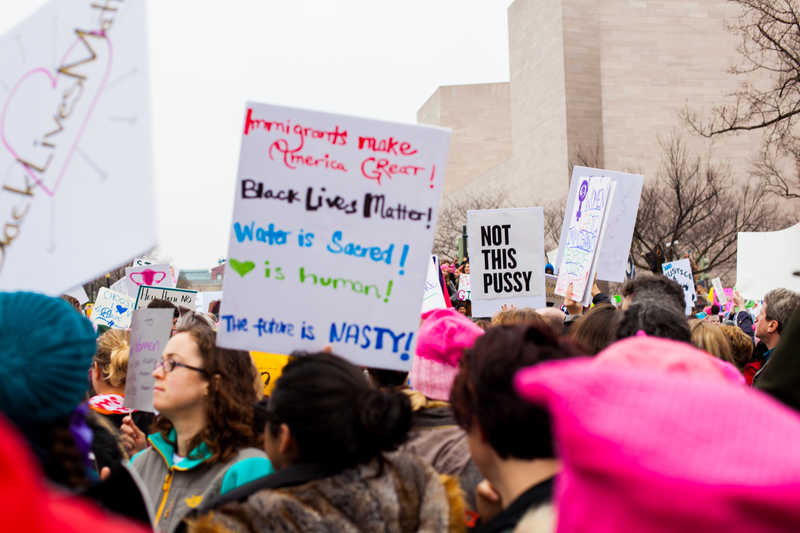 Illustration for article titled WOMEN'S MARCH ON WASHINGTON : THE SIGNS